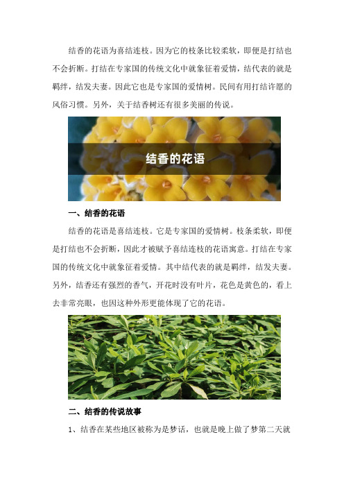 结香的花语,有什么传说故事