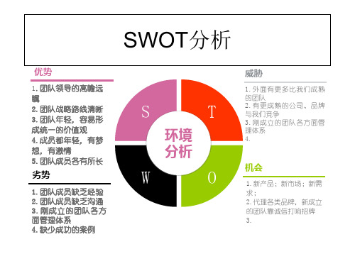 团队swot分析.ppt