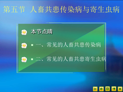 食品营养卫生45人畜共患传染病与寄生ppt课件