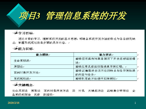 项目管理信息系统的开发PPT课件