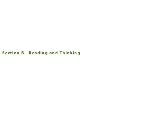 _2019新教材_人教版英语必修1_课件_练习_Unit1 TEENAGE LIFE  Section B Reading and Thinking