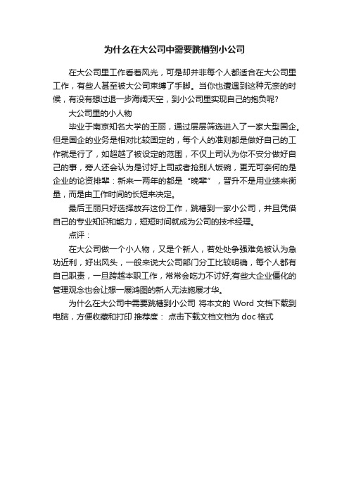 为什么在大公司中需要跳槽到小公司