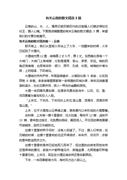 有关云南的散文精选3篇