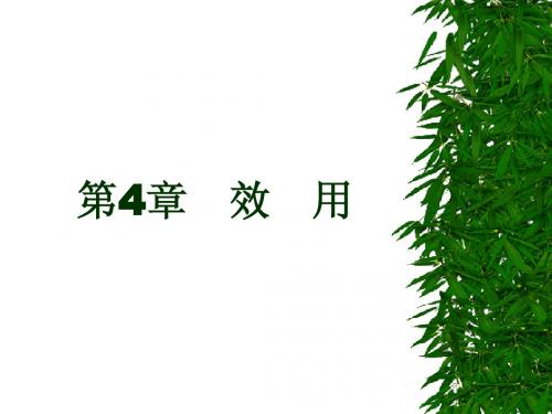 第4章 效用