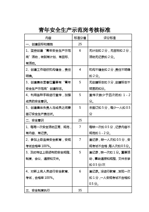 青年安全生产示范岗考核标准