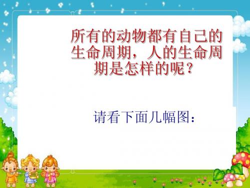 教科版三年级科学下册第二单元《我们的生命周期》课件4