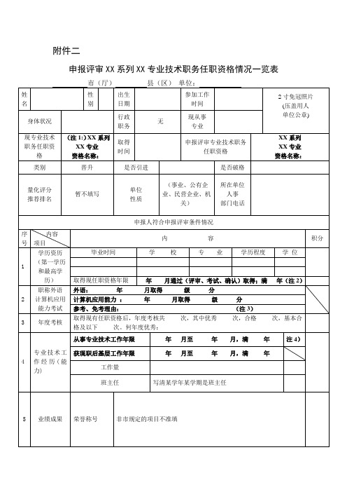 申报评审表