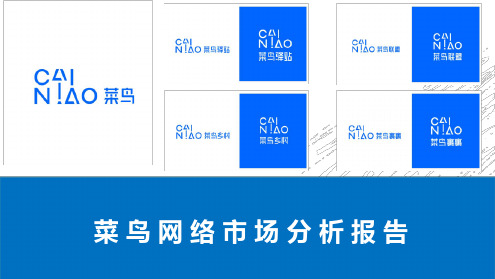 菜鸟调研报告.ppt