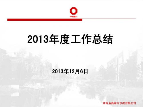 2013年度工作总结
