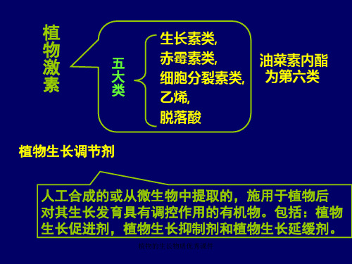 植物的生长物质优秀课件