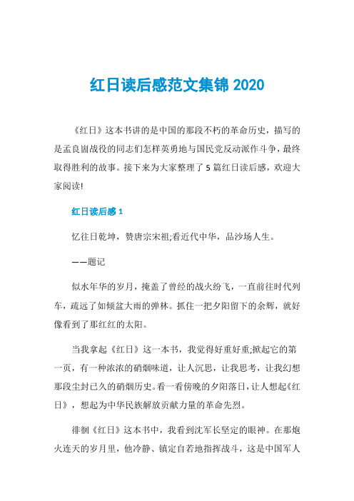 红日读后感范文集锦2020