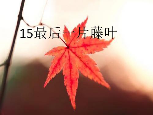 15最后一片藤叶