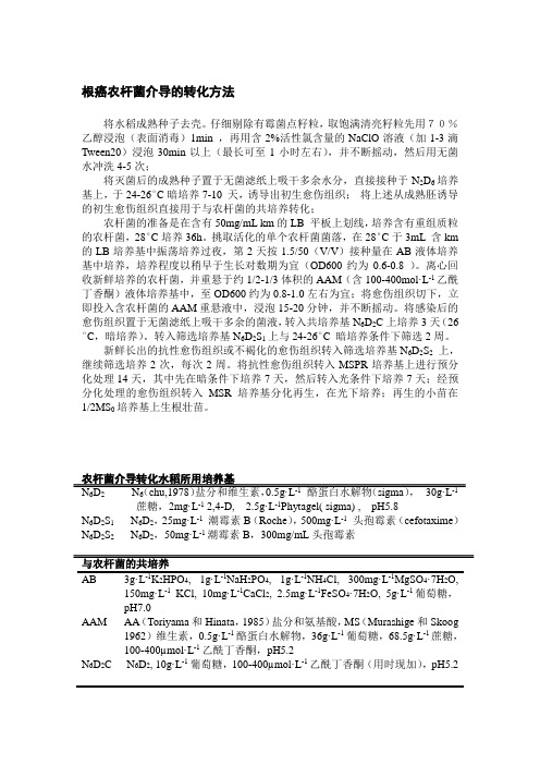 水稻转基因方法及培养基配放个