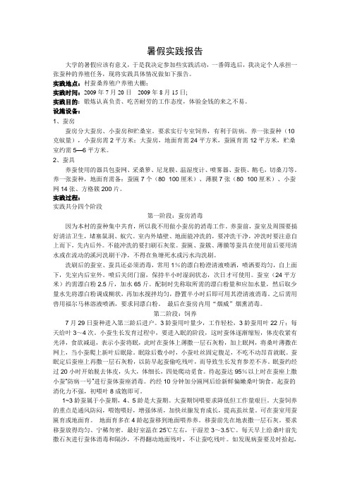 暑假实践报告(桑蚕养殖实践)范文