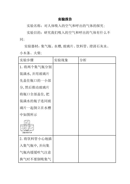 对人体吸入的空气和呼出的气体的探究实验报告