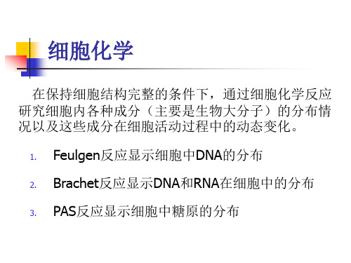 细胞化学实验