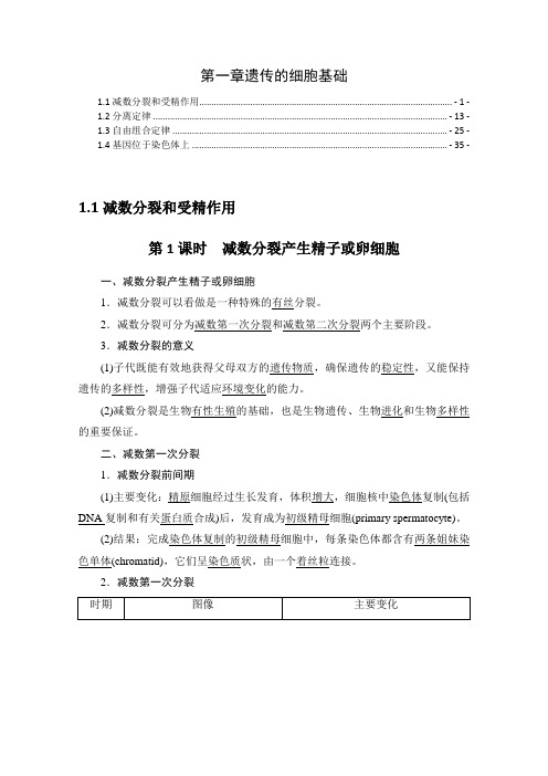 新教材苏教版高中生物必修2 第一章遗传的细胞基础 知识点考点重点难点提炼汇总