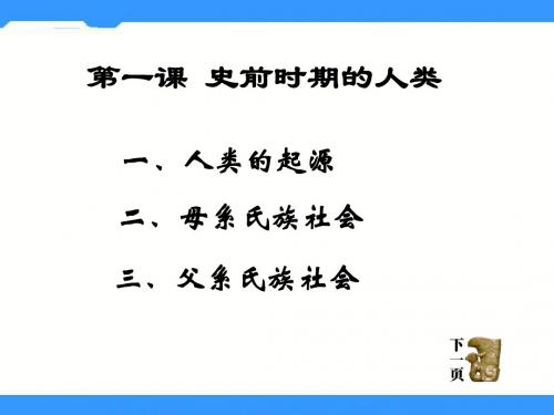 史前时期的人类PPT课件5 岳麓版