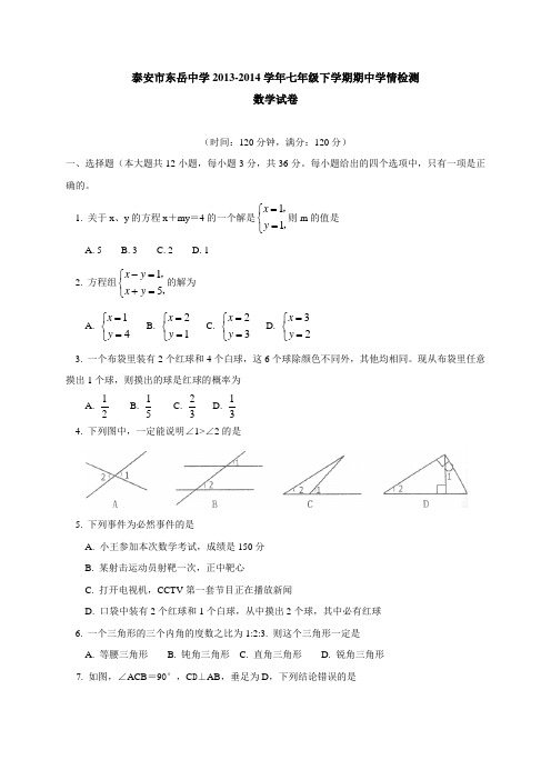 泰安市东岳中学七年级下期中检测数学试卷及答案.doc