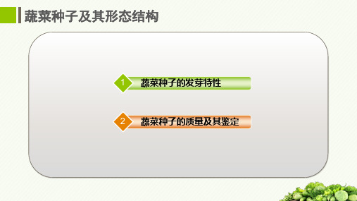 152.1.2蔬菜种子发芽特性与质量构成要素