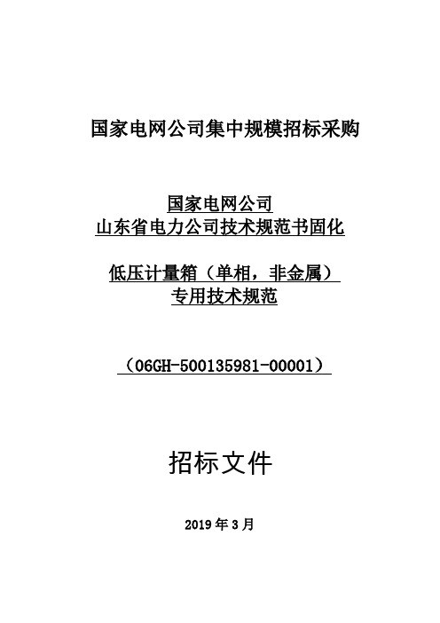 低压计量箱(单相,非金属)专用技术规范(06GH-500135981-00001)