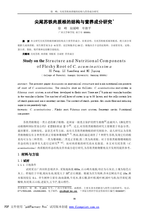 尖尾苏铁肉质根的结构与营养成分研究