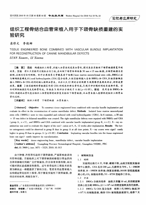 组织工程骨结合血管束植入用于下颌骨缺损重建的实验研究