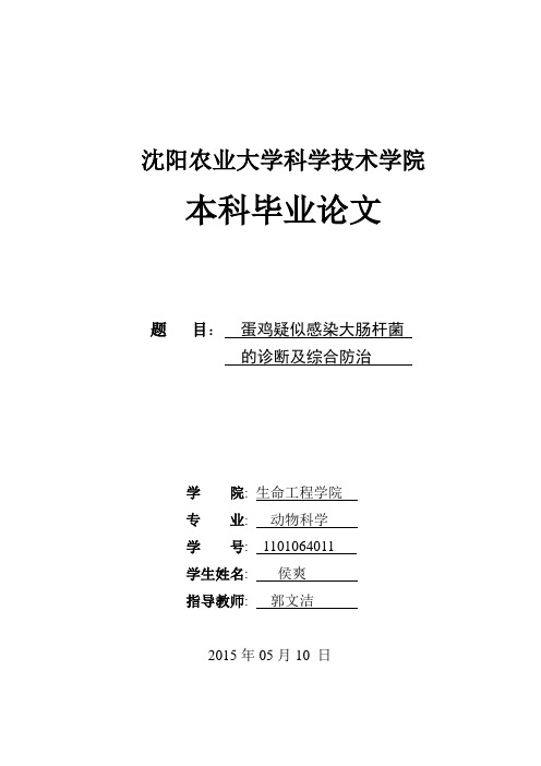 蛋鸡疑似感染大肠杆菌的诊断和综合防治