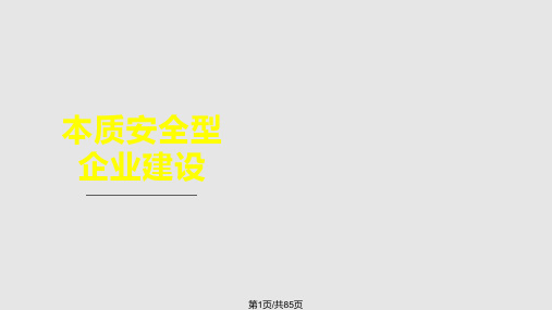 本质安全型企业建设及安全文化建设示范企业评价标准PPT课件