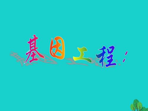 高中生物第二册第6章遗传住处的传递和表达6.3基因工程与转基因生物课件(1)沪科版