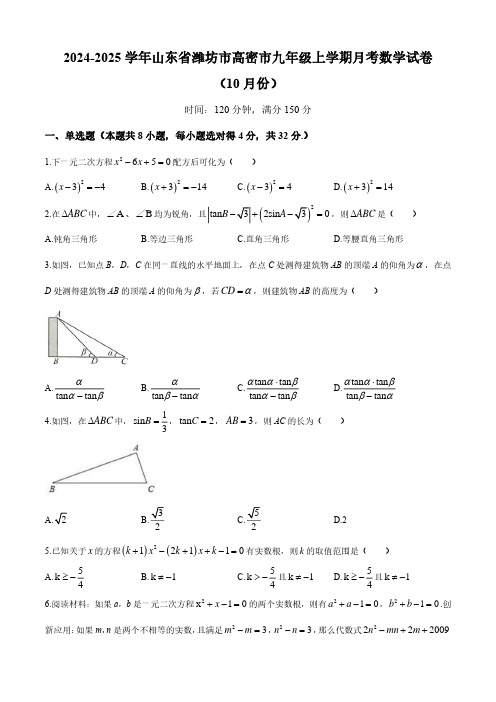 2024-2025学年山东省潍坊市高密市九年级上学期月考数学试卷及参考答案(10月份)