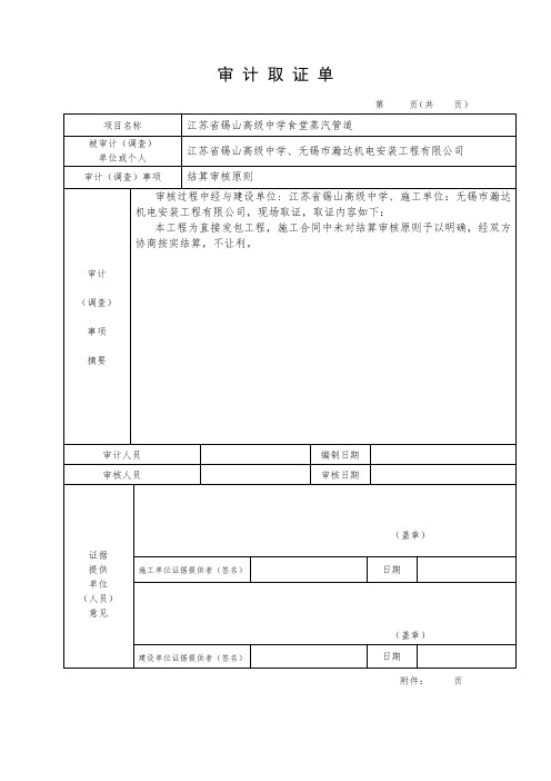 审计取证单  模板