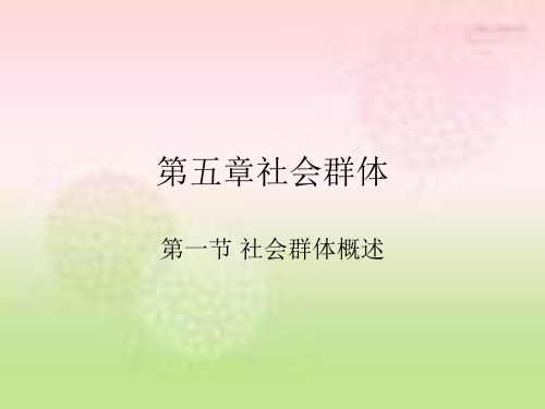 《社会学概论》第五章社会群体概述解析