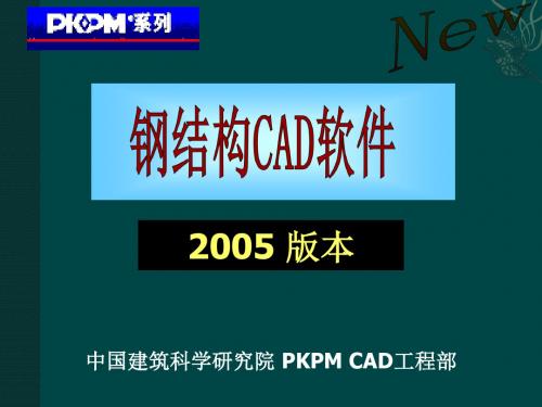 pkpm2005版钢结构演示