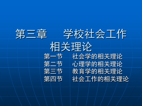 第三章   学校社会工作理论