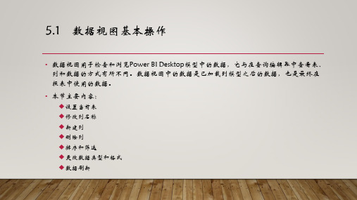 PowerBI数据分析与数据可视化第5章数据视图和管理关系课件