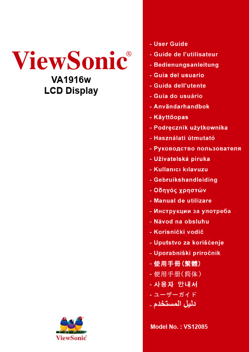 ViewSonic VA1916w LCD Display 说明书