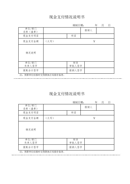 现金支付情况说明书