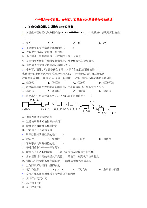 中考化学专项训练：金刚石、石墨和C60基础卷含答案解析