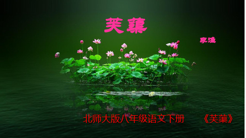 北师大版八年级下册语文： 第五单元 花之君子 10 芙蕖