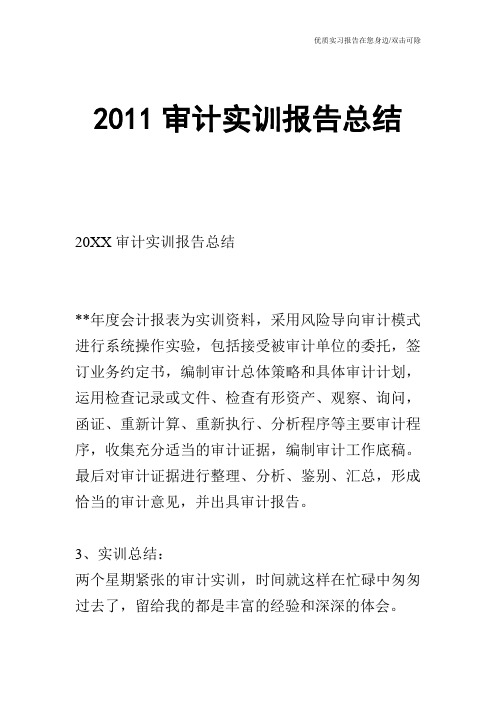 2011审计实训报告总结