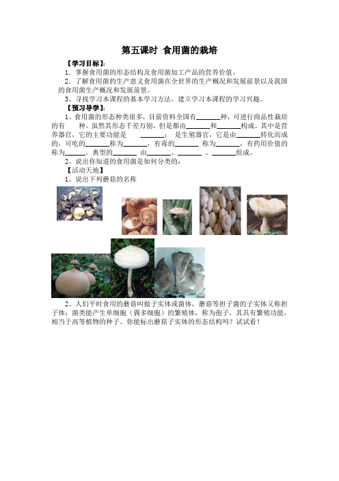 九年级综合实践活动课下册教案:食用菌的栽培