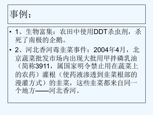 绿色食品的生产 PPT