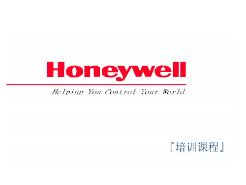 HONEYWELLDCS分析