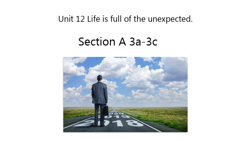 2020—2021学年人教版英语九年级全册课件 Unit 12  Section A  3a-3c