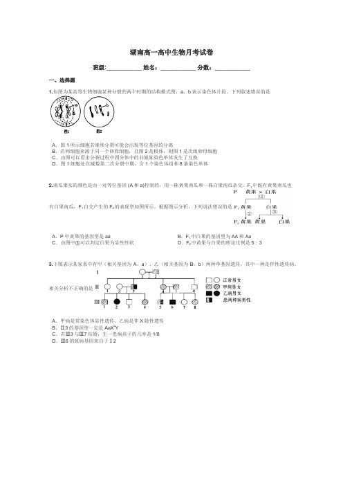 湖南高一高中生物月考试卷带答案解析