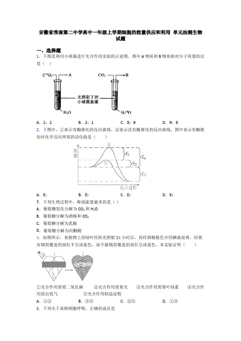 安徽省淮南第二中学高中一年级上学期细胞的能量供应和利用 单元抽测生物试题