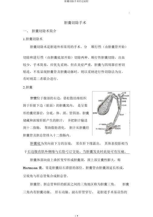 胆囊切除手术经过流程