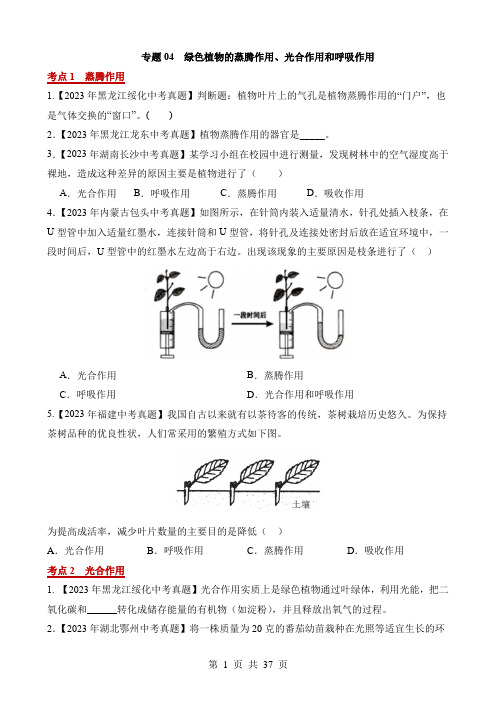 2023中考生物真题分项汇编专题04 绿色植物的蒸腾作用、光合作用和呼吸作用(第2期)