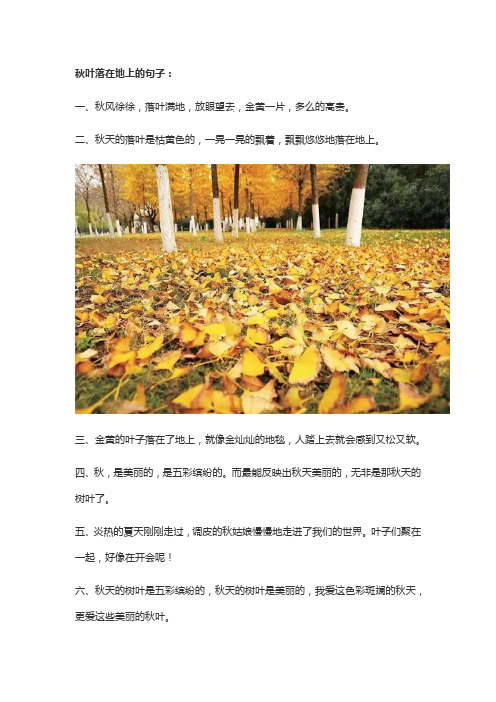 秋叶落在地上的句子